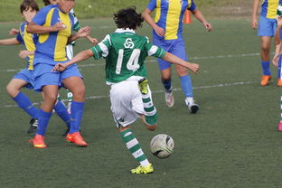 西班牙队教练压力巨大！，塔图姆遭遇二十持续失利热度持续攀升